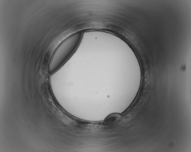 X0000116461081201001061033