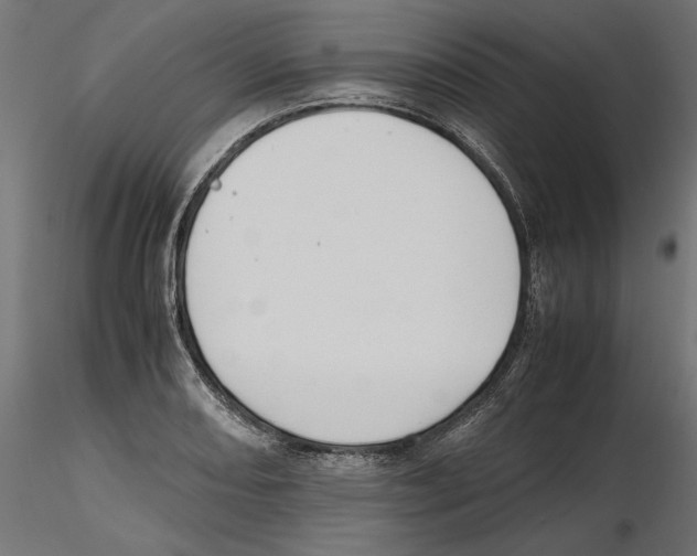 X0000116461082201001061033
