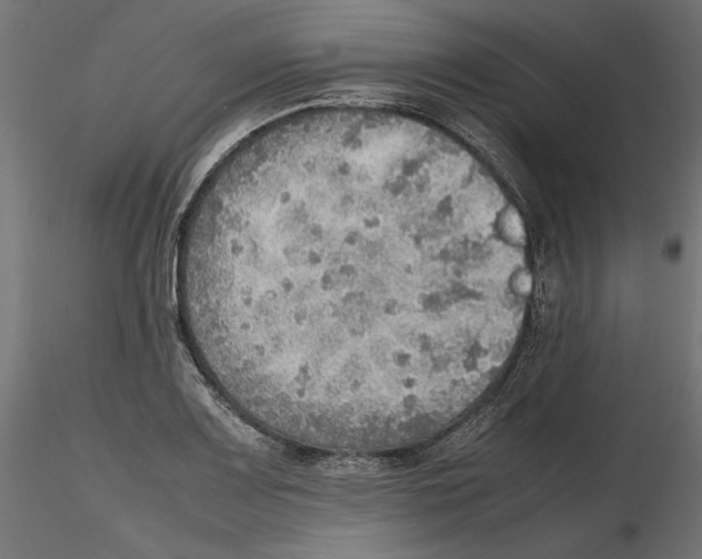 X0000116461083201001061033