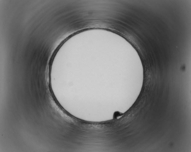 X0000116461084201001061033