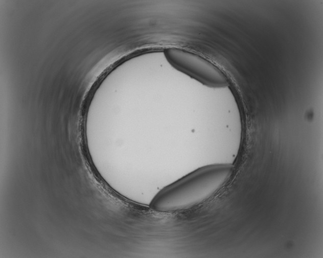 X0000116461085201001061033