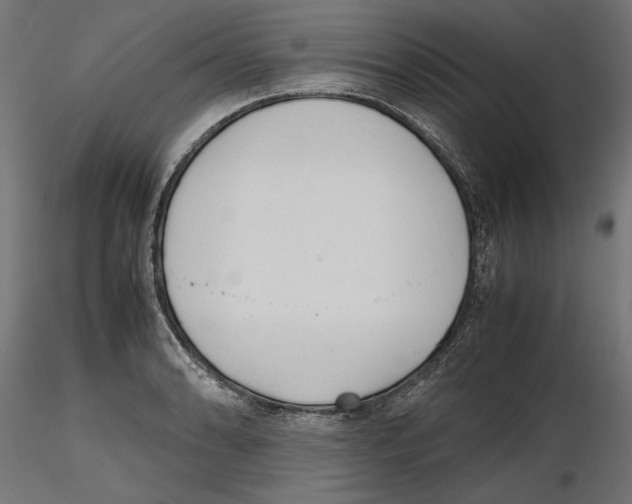 X0000116461086201001061033