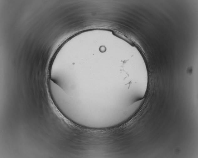 X0000116461088201001061033
