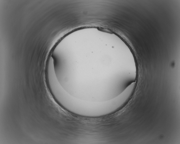X0000116461093201001061033