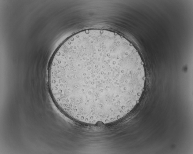 X0000116461095201001061033