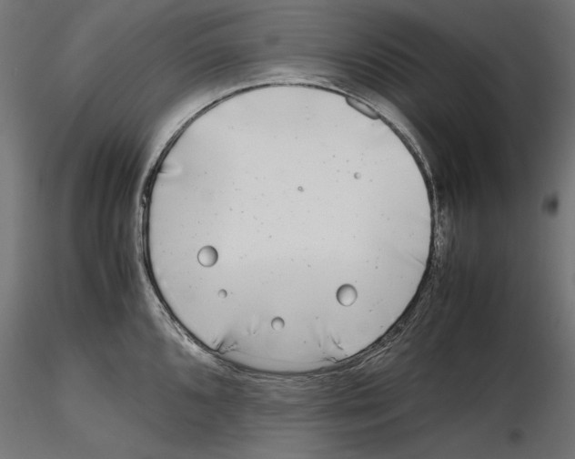 X0000116461096201001061033