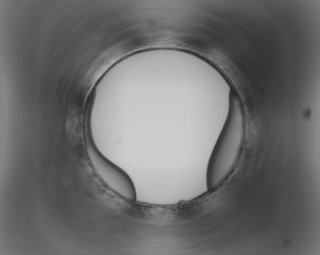 X0000116461097201001061033
