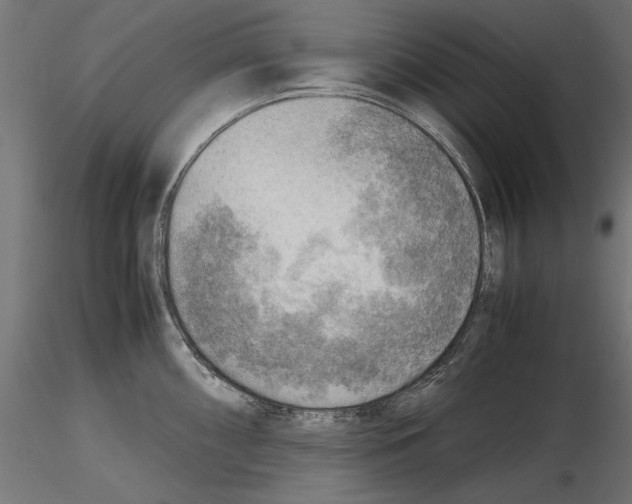 X0000116461098201001061033