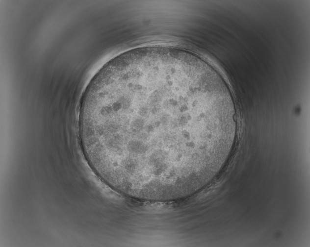 X0000116461099201001061033