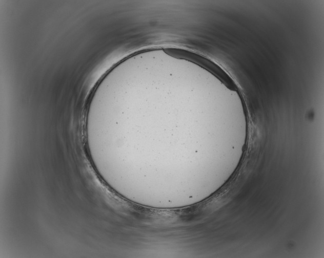 X0000116461101201001061033