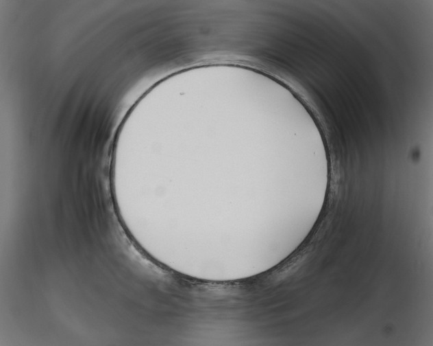X0000116461102201001061033