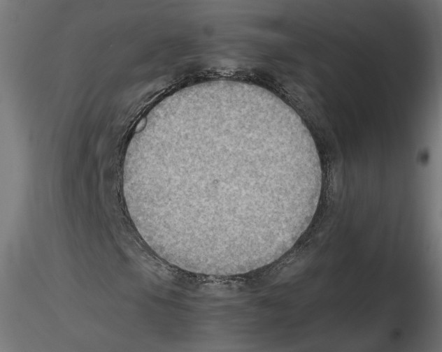 X0000116461105201001061032