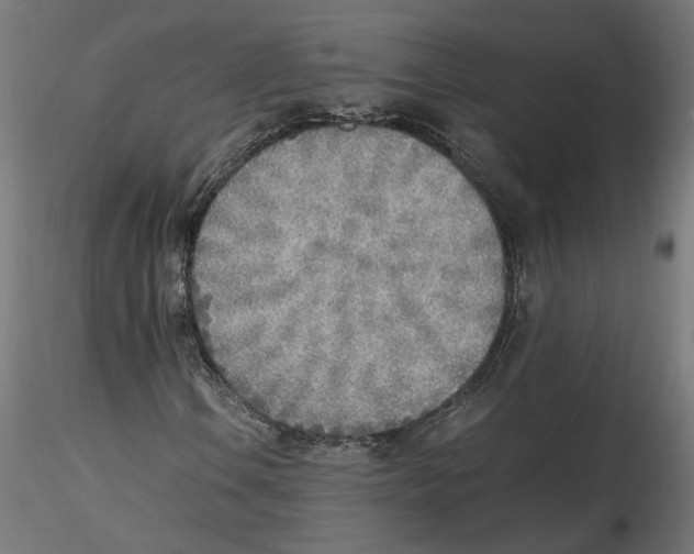 X0000116461106201001061032