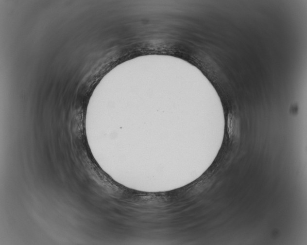 X0000116461107201001061032