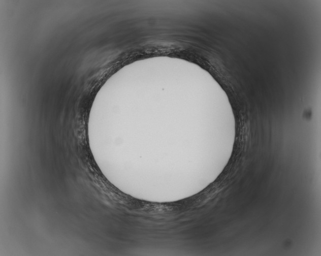X0000116461109201001061032