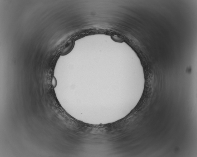 X0000116461110201001061032