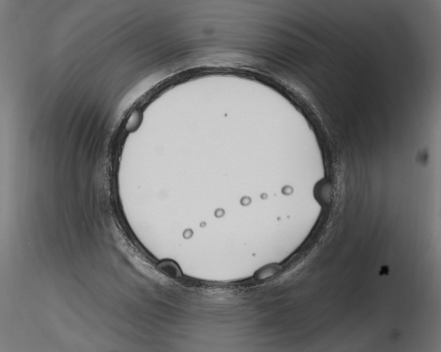 X0000116461114201001061032