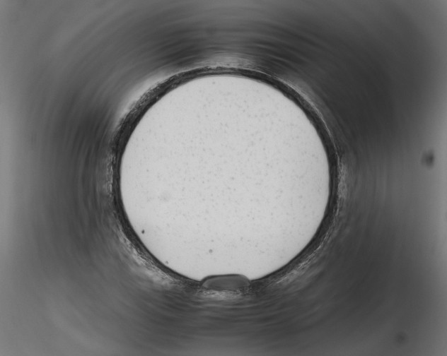 X0000116461115201001061032