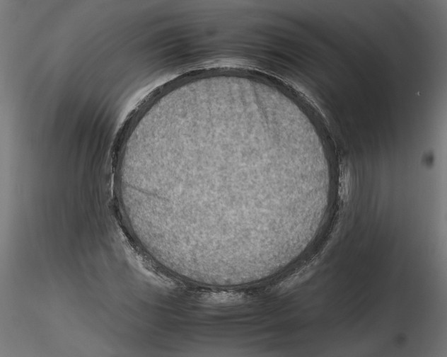 X0000116461117201001061032