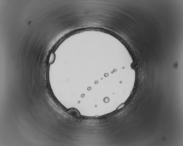 X0000116461118201001061032
