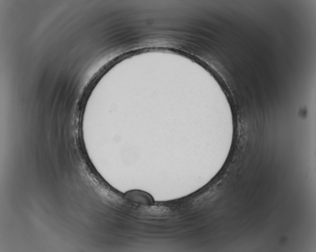 X0000116461119201001061032