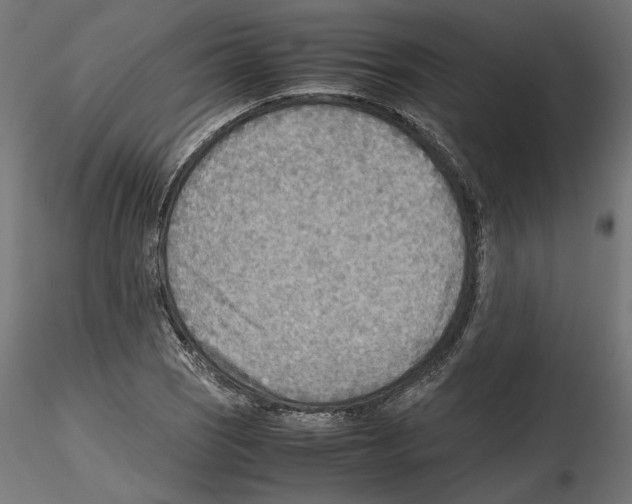 X0000116461121201001061032