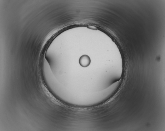 X0000116461122201001061032