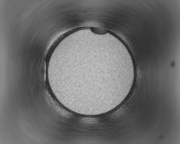 X0000116461123201001061032