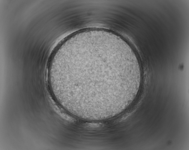 X0000116461125201001061032