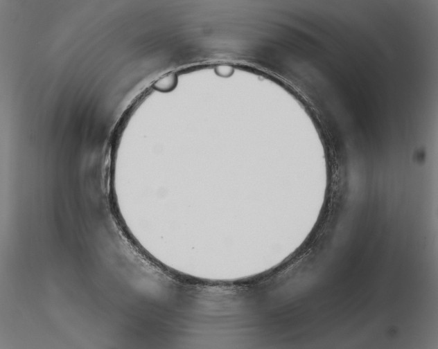 X0000116461126201001061032