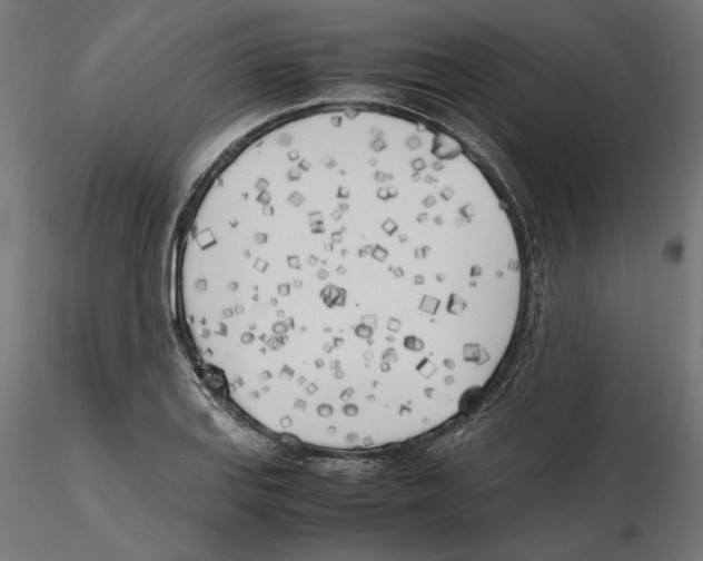 X0000116461127201001061032