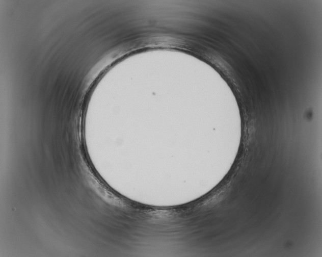 X0000116461130201001061032