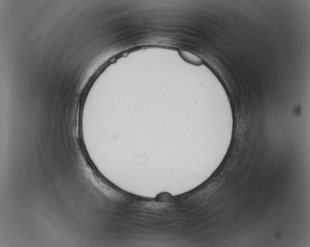 X0000116461131201001061033