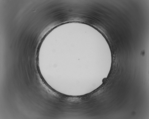 X0000116461135201001061033