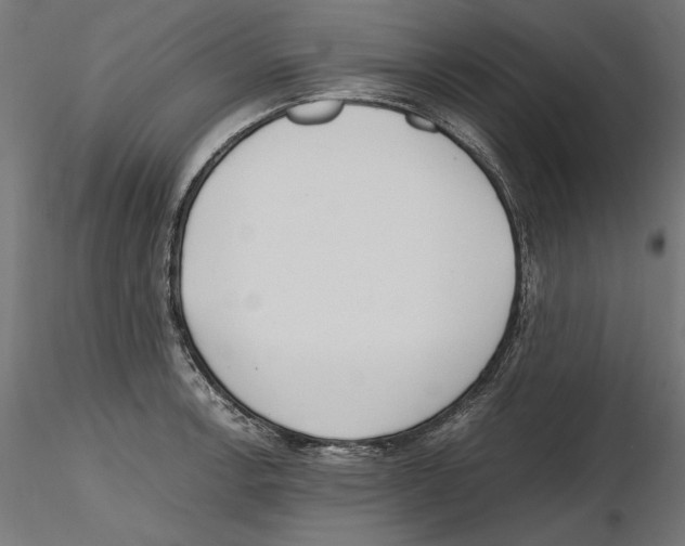 X0000116461138201001061033