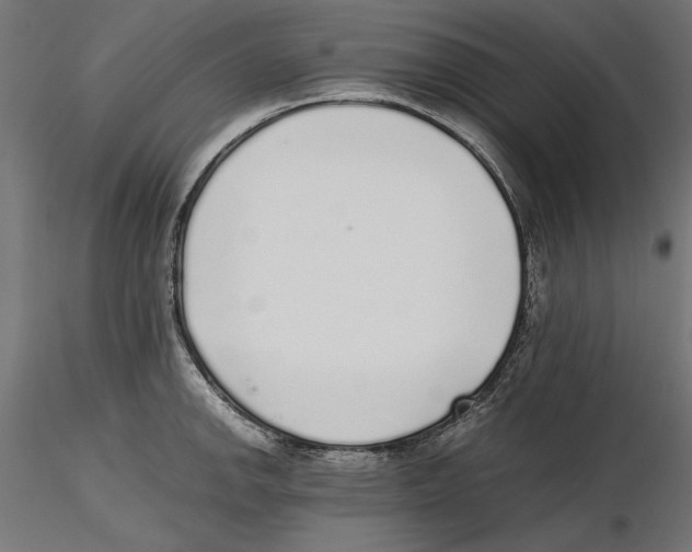 X0000116461142201001061033