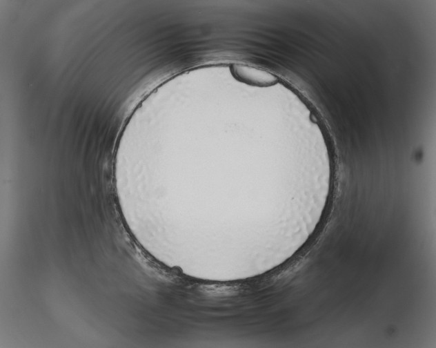 X0000116461145201001061033