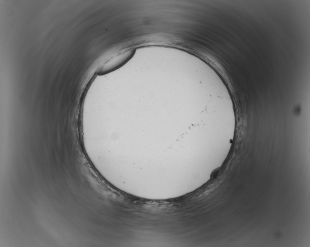 X0000116461146201001061033