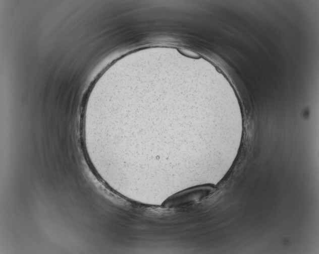 X0000116461147201001061033