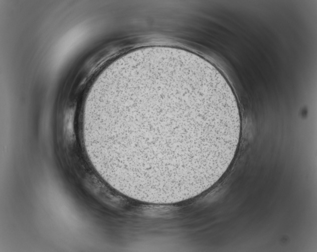 X0000116461150201001061033
