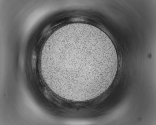 X0000116461151201001061033