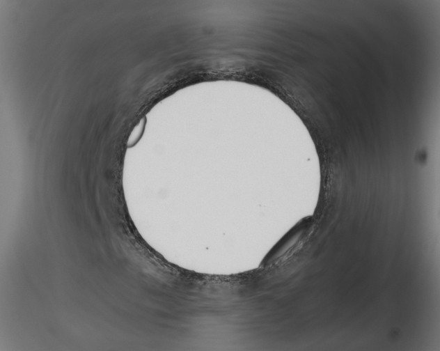 X0000116461153201001061032