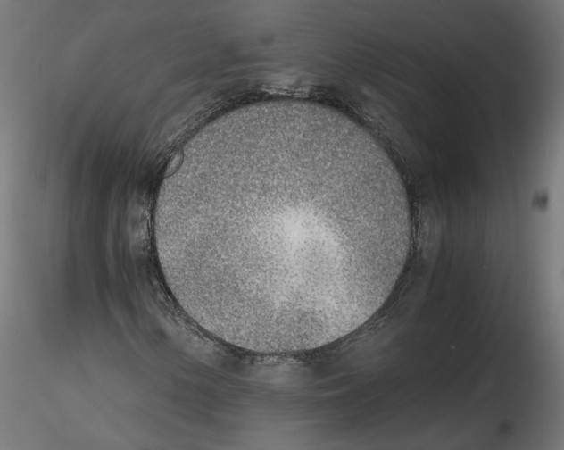 X0000116461154201001061032
