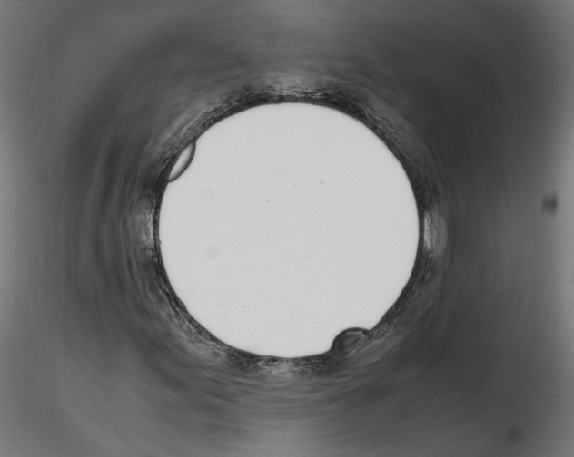 X0000116461155201001061032