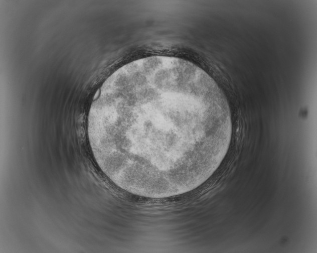 X0000116461156201001061032