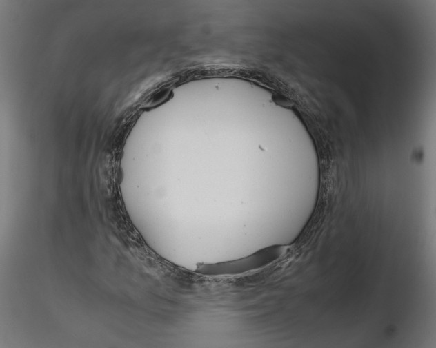 X0000116461157201001061032