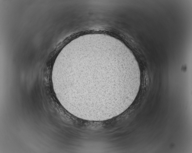 X0000116461158201001061032