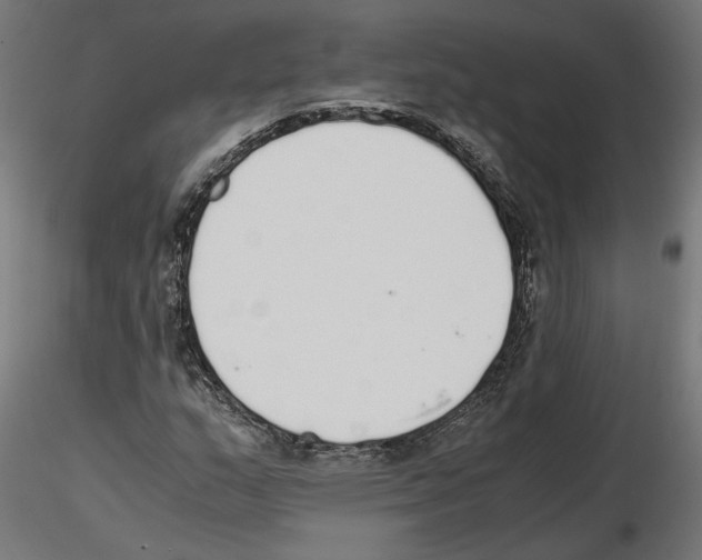 X0000116461159201001061032