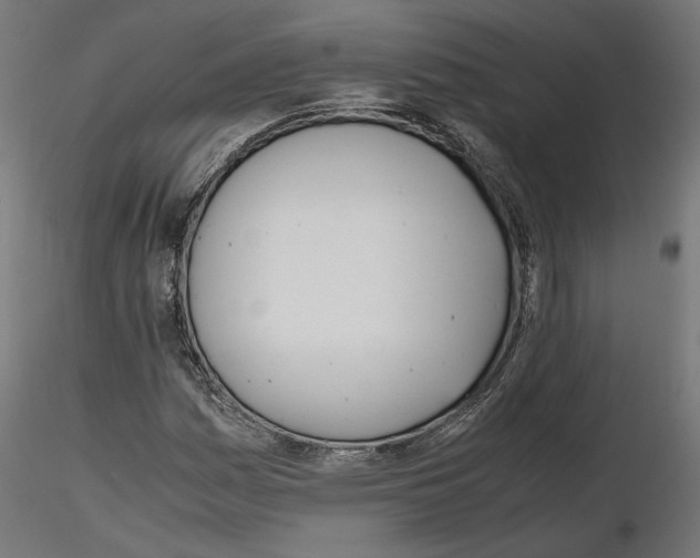 X0000116461161201001061032