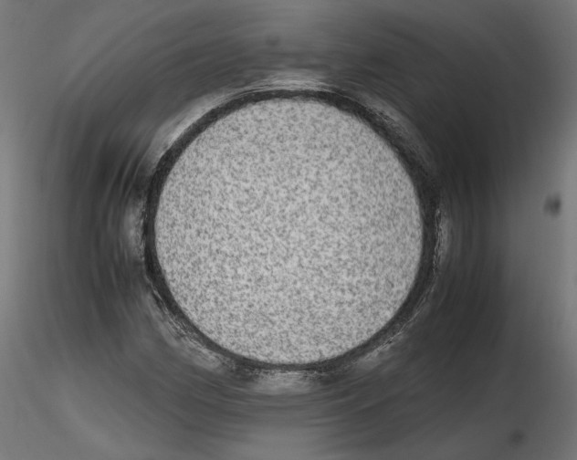 X0000116461162201001061032